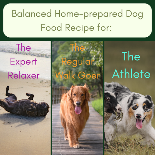 Dr. Evelyn's FREE Turkey & Salmon Dog Food Recipe