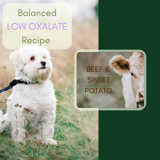Dr. Evelyn's Low Oxalate Beef Dog Food Recipe