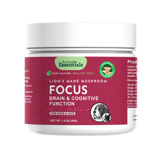 FOCUS Lion's Mane mushroom powder extract for Dogs & Cats
