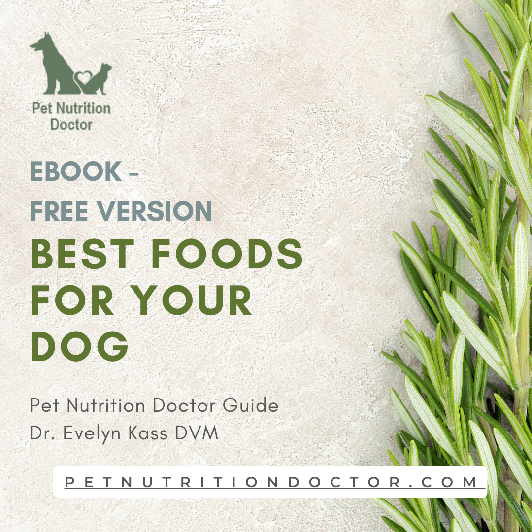 Best Foods for your Dog - Free eBook