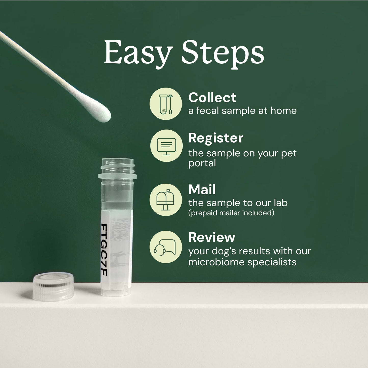 Gut Microbiome Test for Dogs