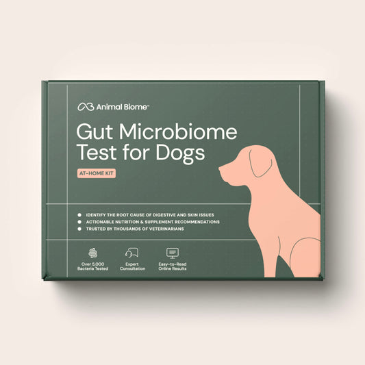 Gut Microbiome Test for Dogs