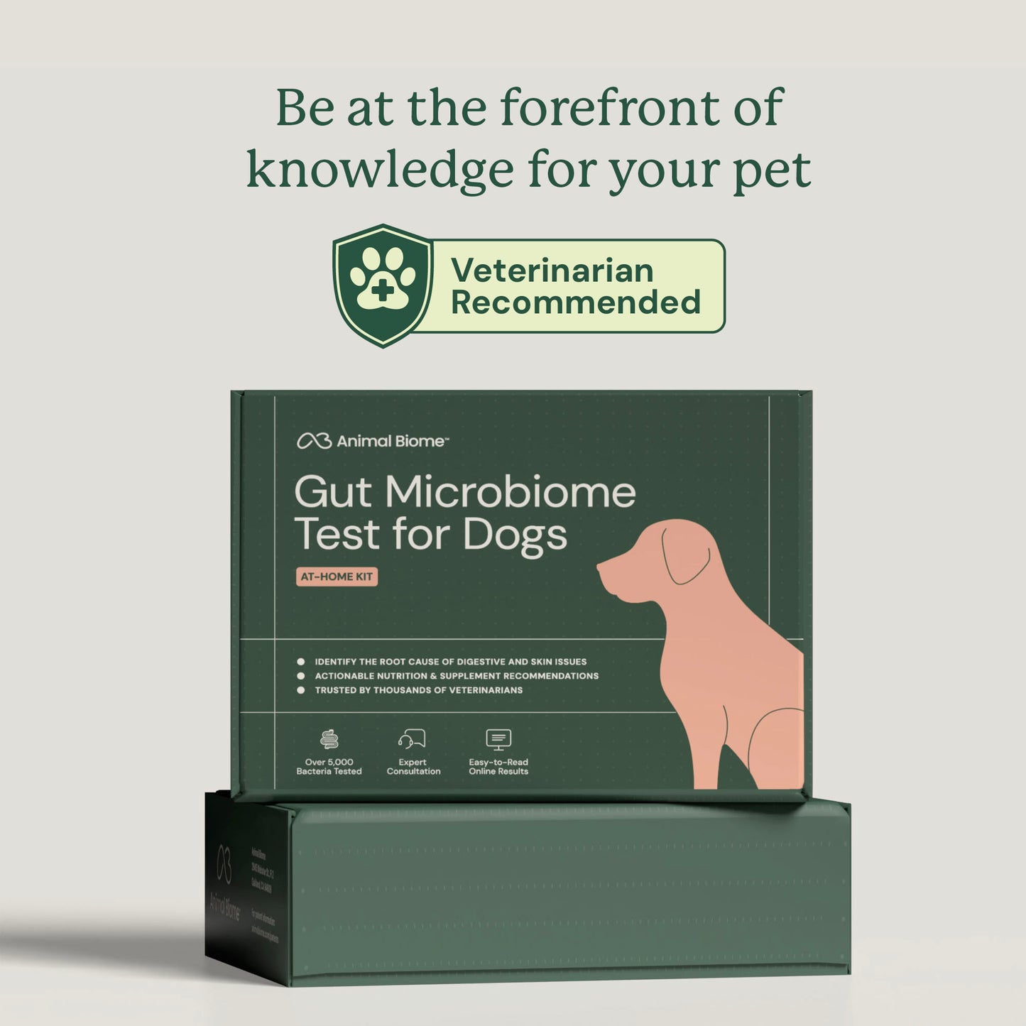 Gut Microbiome Test for Dogs