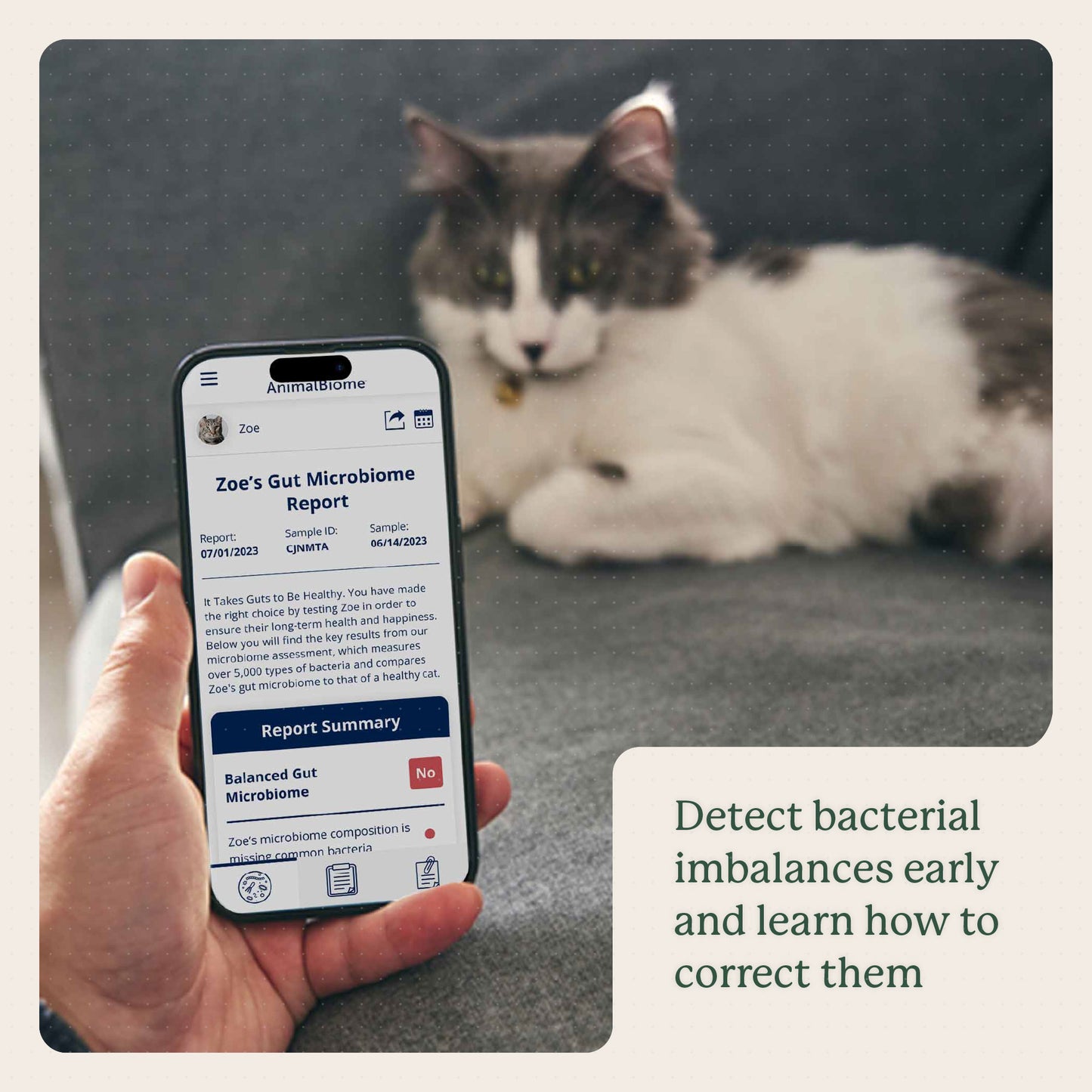 KittyBiome Gut Health Test