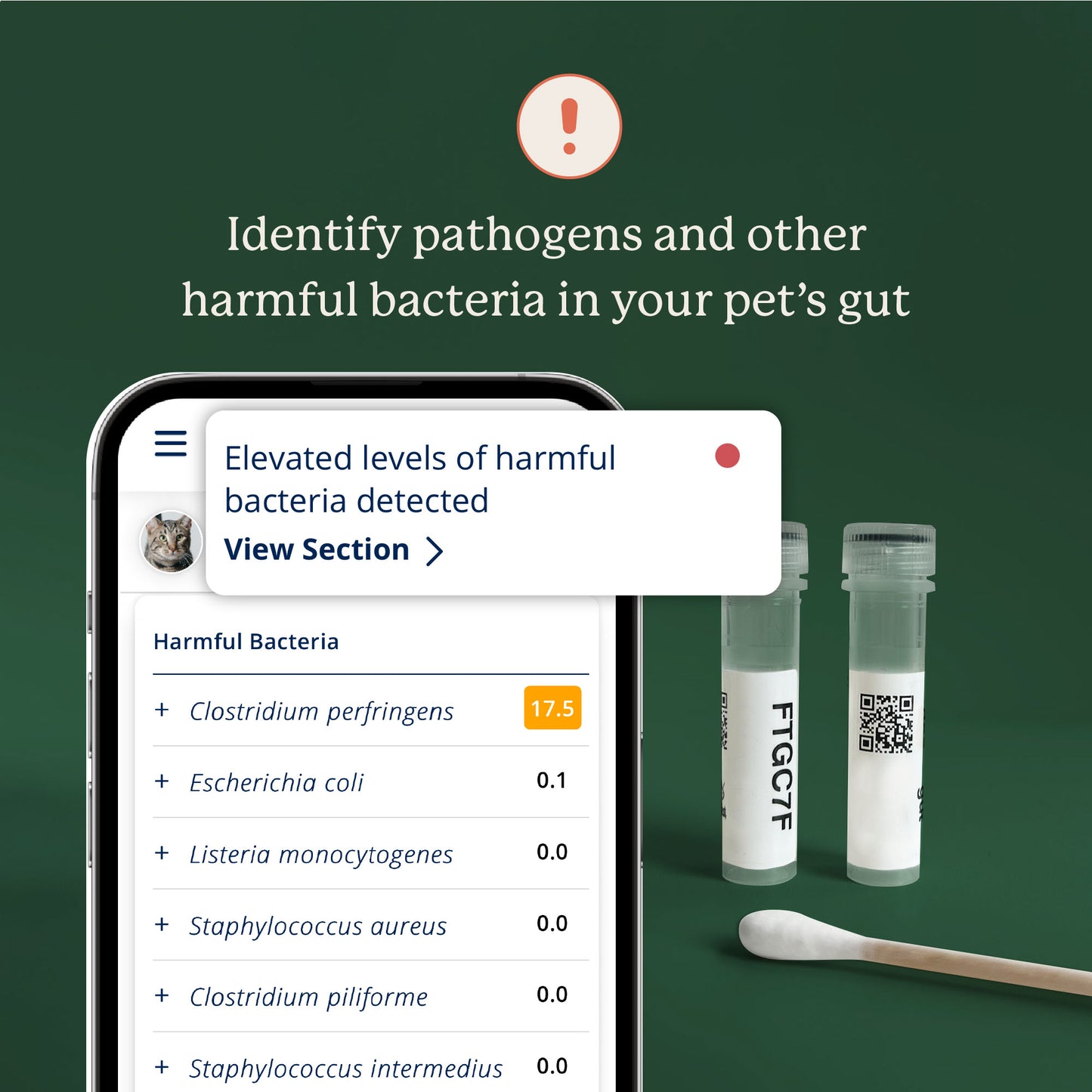KittyBiome Gut Health Test