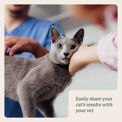 KittyBiome Gut Health Test