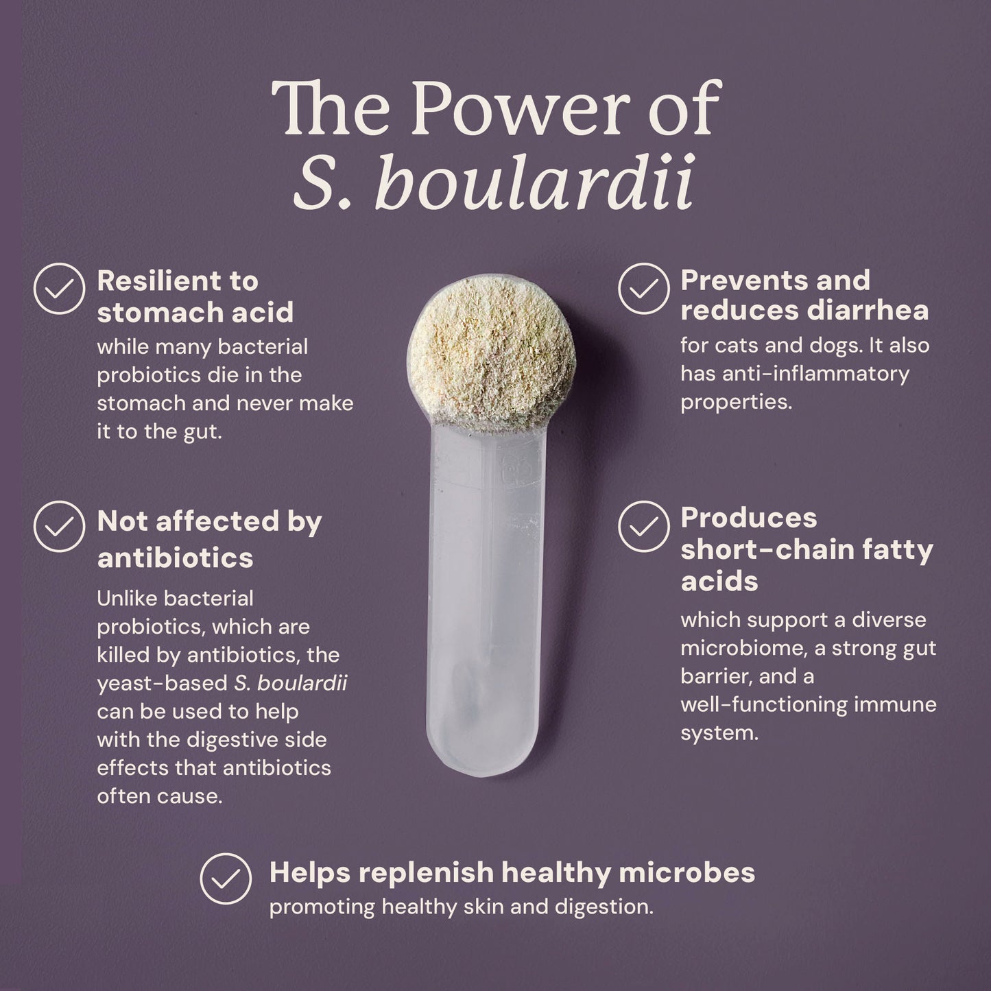S. boulardii + FOS Powder