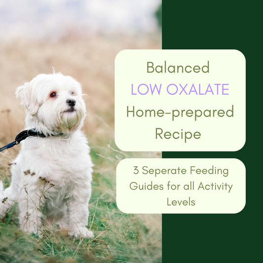 Dr. Evelyn's Low Oxalate Beef Dog Food Recipe