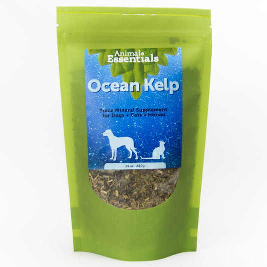 Organic Ocean Kelp