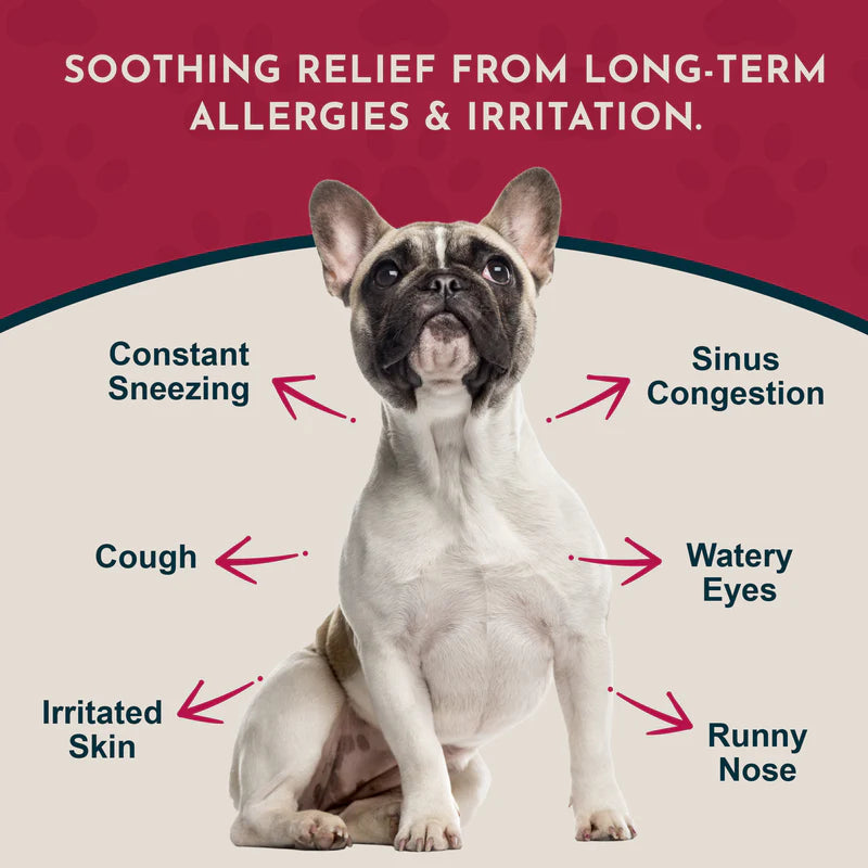 Seasonal Allergy + Quercetin herbal Support powder for Dogs and Cats