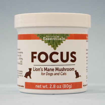 FOCUS Lion's Mane mushroom powder extract for Dogs & Cats